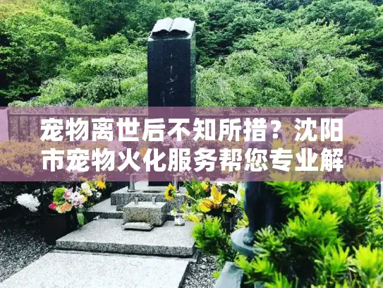 宠物离世后不知所措？沈阳市宠物火化服务帮您专业解决悲伤