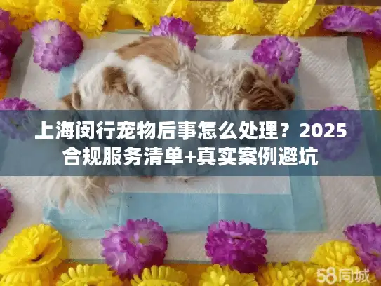 上海闵行宠物后事怎么处理？2025合规服务清单+真实案例避坑