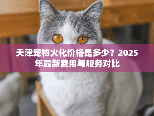 天津宠物火化价格是多少?2025年最新费用与服务对比 天津宠物火化价格是多少?2025年最新费用与服务对比