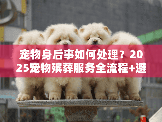 宠物身后事如何处理？2025宠物殡葬服务全流程+避坑实战指南