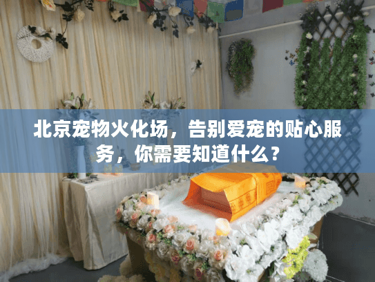 北京宠物火化场，告别爱宠的贴心服务，你需要知道什么？