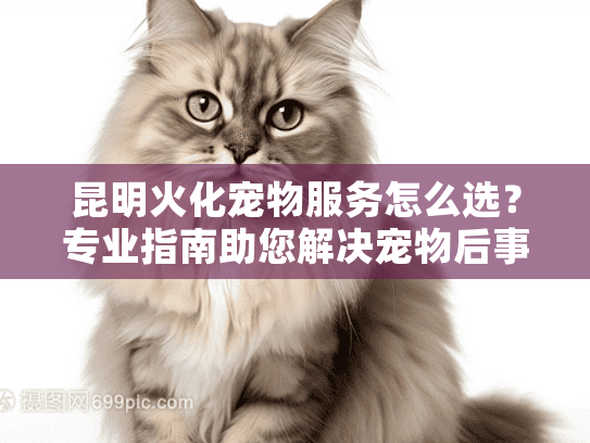 昆明火化宠物服务怎么选?专业指南助您解决宠物后事难题 昆明火化宠物服务怎么选?专业指南助您解决宠物后事难题