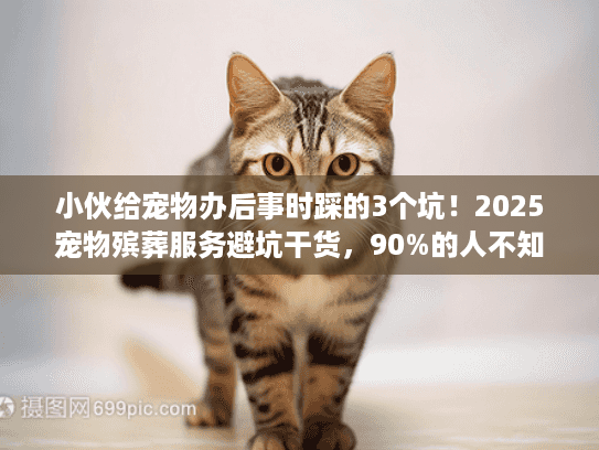 小伙给宠物办后事时踩的3个坑！2025宠物殡葬服务避坑干货，90%的人不知道