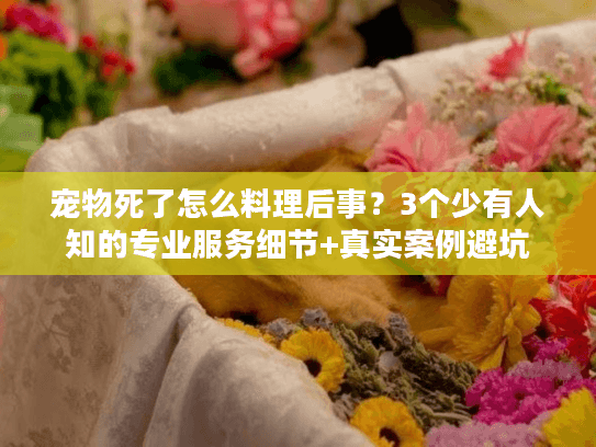 宠物死了怎么料理后事？3个少有人知的专业服务细节+真实案例避坑