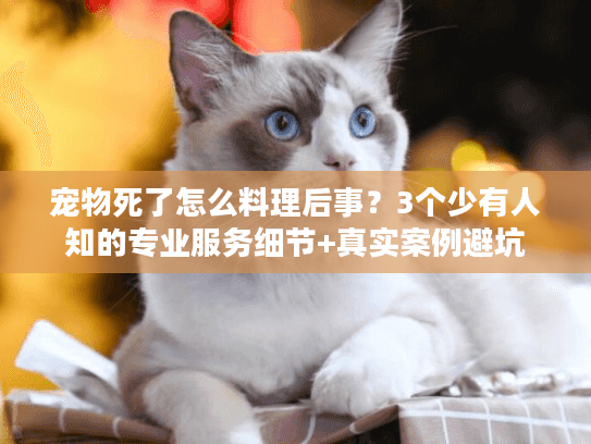 宠物死了怎么料理后事？3个少有人知的专业服务细节+真实案例避坑