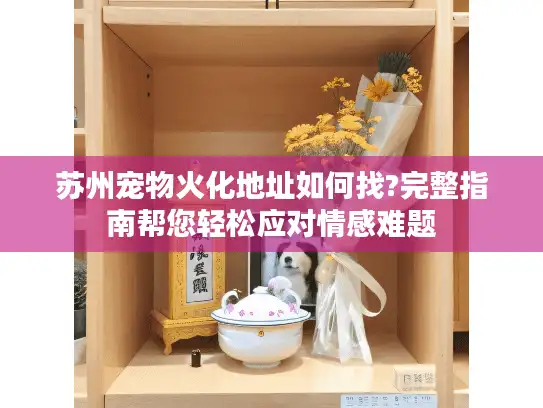苏州宠物火化地址如何找?完整指南帮您轻松应对情感难题