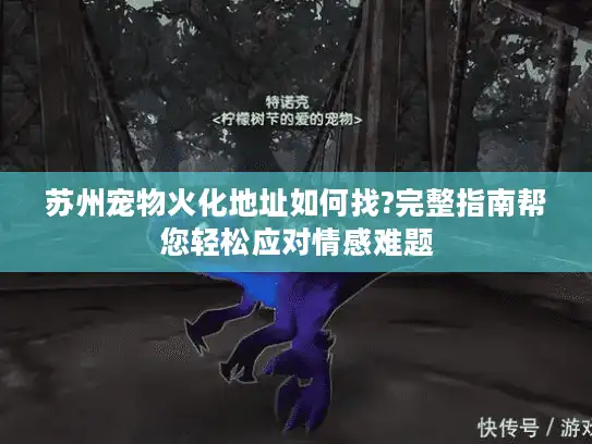 苏州宠物火化地址如何找?完整指南帮您轻松应对情感难题