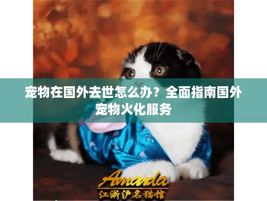 宠物在国外去世怎么办？全面指南国外宠物火化服务