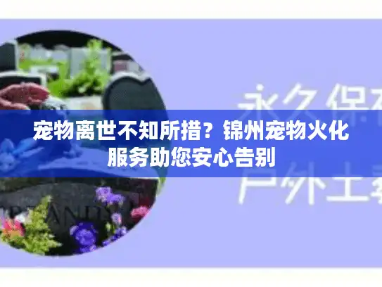 宠物离世不知所措？锦州宠物火化服务助您安心告别