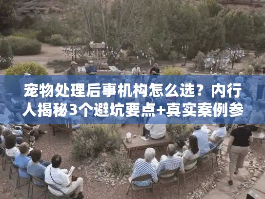 宠物处理后事机构怎么选？内行人揭秘3个避坑要点+真实案例参考