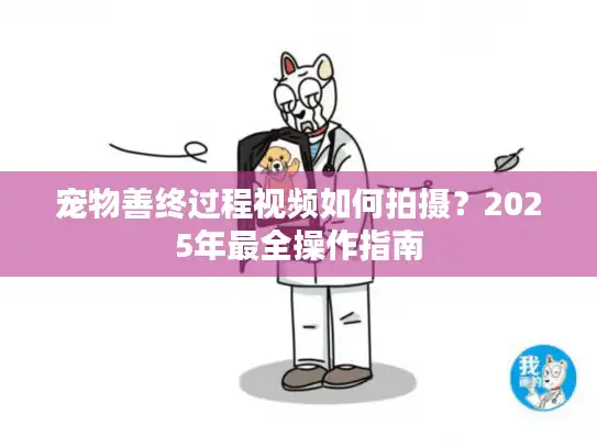 宠物善终过程视频如何拍摄？2025年最全操作指南