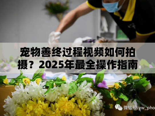 宠物善终过程视频如何拍摄？2025年最全操作指南