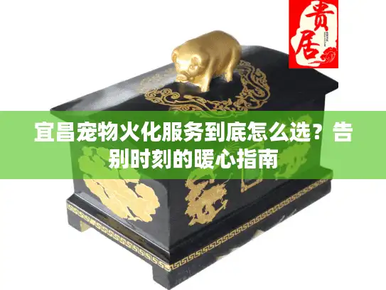 宜昌宠物火化服务到底怎么选？告别时刻的暖心指南