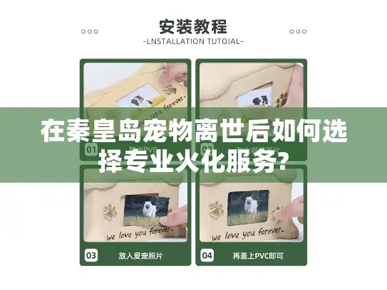 在秦皇岛宠物离世后如何选择专业火化服务?