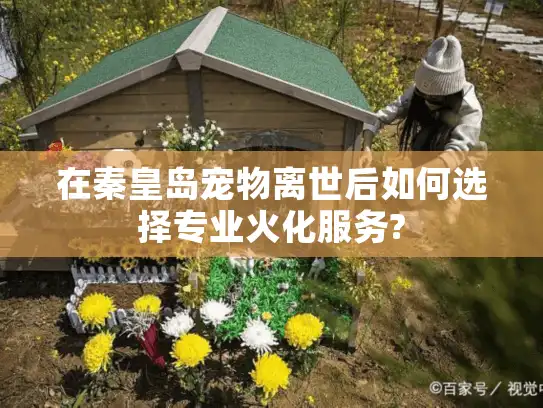 在秦皇岛宠物离世后如何选择专业火化服务?