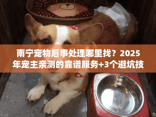 南宁宠物后事处理哪里找？2025年宠主亲测的靠谱服务+3个避坑技巧