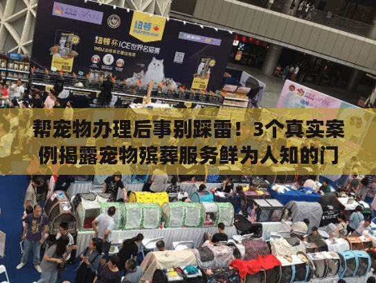 帮宠物办理后事别踩雷！3个真实案例揭露宠物殡葬服务鲜为人知的门道