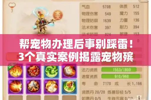 帮宠物办理后事别踩雷！3个真实案例揭露宠物殡葬服务鲜为人知的门道