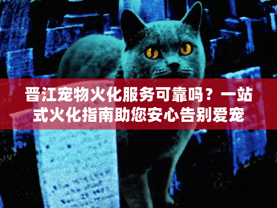 晋江宠物火化服务可靠吗？一站式火化指南助您安心告别爱宠