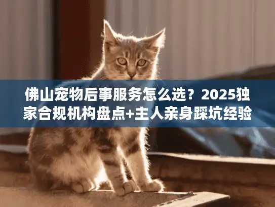 佛山宠物后事服务怎么选？2025独家合规机构盘点+主人亲身踩坑经验分享