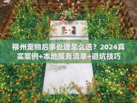 柳州宠物后事处理怎么选？2024真实案例+本地服务清单+避坑技巧