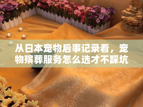 从日本宠物后事记录看，宠物殡葬服务怎么选才不踩坑？