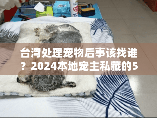 台湾处理宠物后事该找谁?2024本地宠主私藏的5家高口碑服务全解析 台湾处理宠物后事该找谁?2024本地宠主私藏的5家高口碑服务全解析