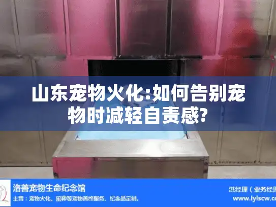 山东宠物火化:如何告别宠物时减轻自责感?