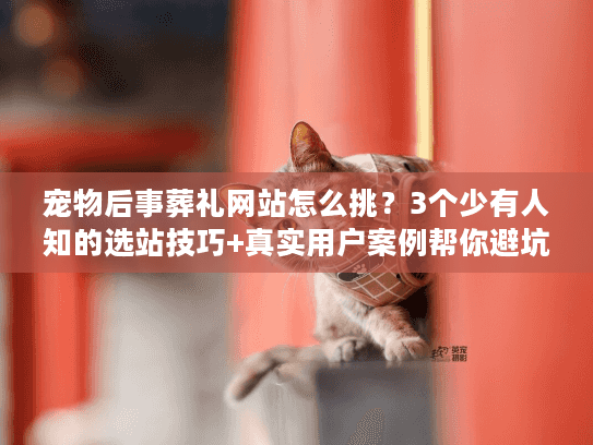 宠物后事葬礼网站怎么挑？3个少有人知的选站技巧+真实用户案例帮你避坑