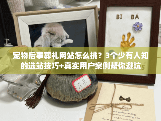 宠物后事葬礼网站怎么挑？3个少有人知的选站技巧+真实用户案例帮你避坑