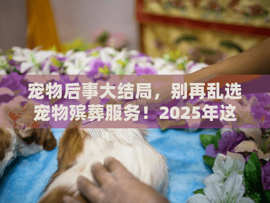 宠物后事大结局，别再乱选宠物殡葬服务！2025年这8个实战细节90%的人都忽略了！