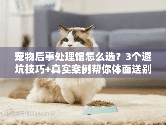 宠物后事处理馆怎么选?3个避坑技巧+真实案例帮你体面送别毛孩 宠物后事处理馆怎么选?3个避坑技巧+真实案例帮你体面送别毛孩