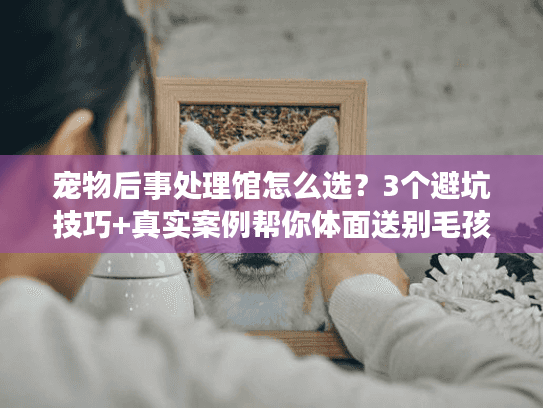 宠物后事处理馆怎么选?3个避坑技巧+真实案例帮你体面送别毛孩 宠物后事处理馆怎么选?3个避坑技巧+真实案例帮你体面送别毛孩