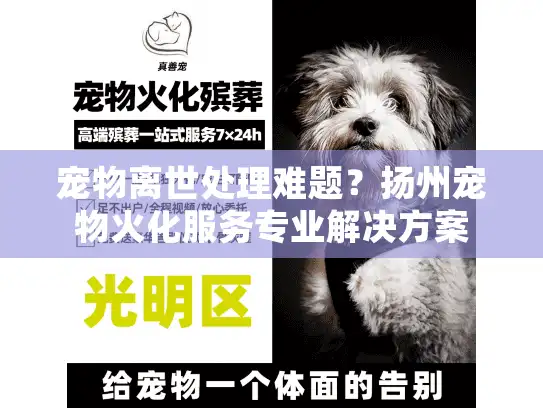 宠物离世处理难题?扬州宠物火化服务专业解决方案 宠物离世处理难题?扬州宠物火化服务专业解决方案