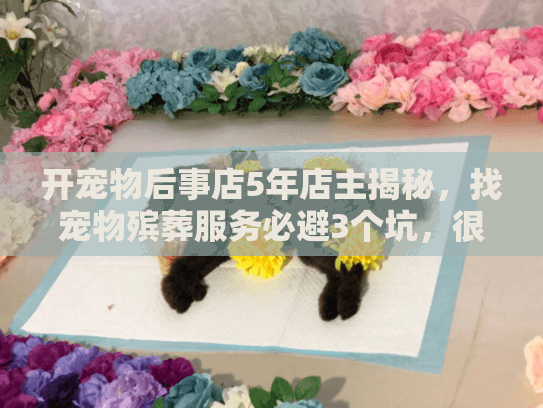 开宠物后事店5年店主揭秘，找宠物殡葬服务必避3个坑，很多人都踩过！