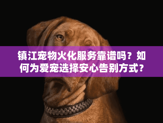 镇江宠物火化服务靠谱吗?如何为爱宠选择安心告别方式? 镇江宠物火化服务靠谱吗?如何为爱宠选择安心告别方式?