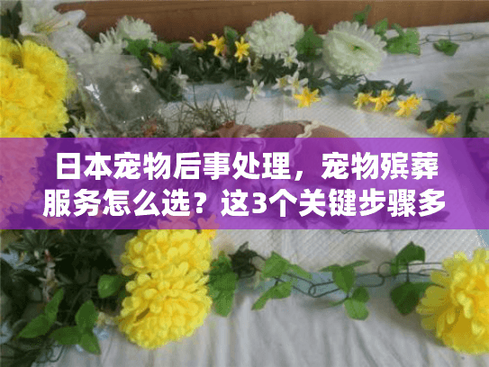 日本宠物后事处理，宠物殡葬服务怎么选？这3个关键步骤多数人搞错