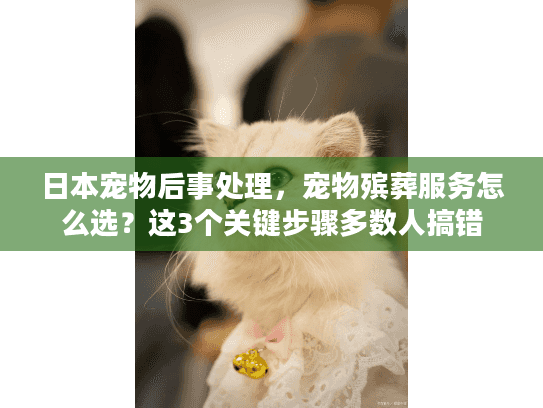 日本宠物后事处理，宠物殡葬服务怎么选？这3个关键步骤多数人搞错