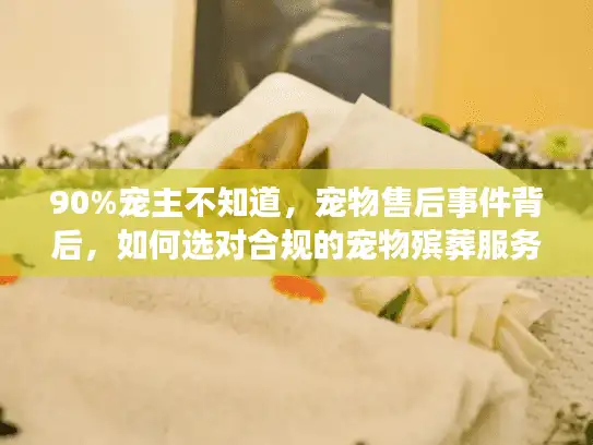 90%宠主不知道，宠物售后事件背后，如何选对合规的宠物殡葬服务？