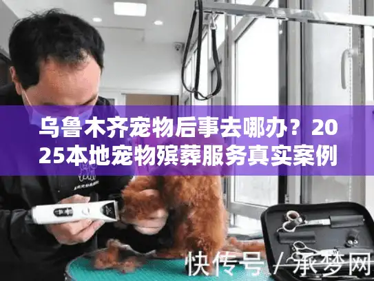 乌鲁木齐宠物后事去哪办？2025本地宠物殡葬服务真实案例+行业内幕首次揭秘