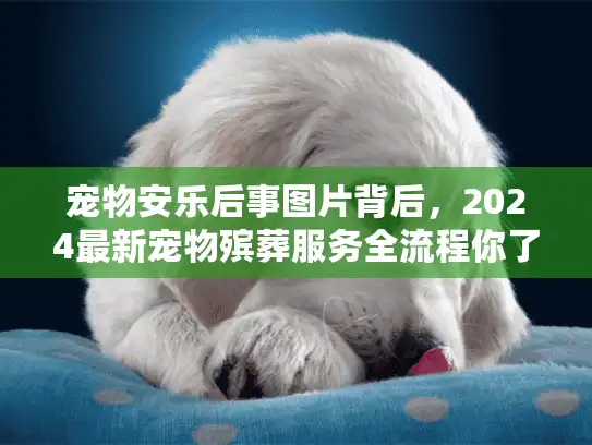 宠物安乐后事图片背后，2024最新宠物殡葬服务全流程你了解吗？