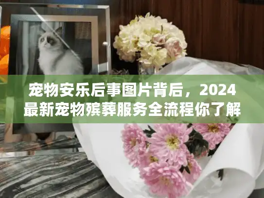 宠物安乐后事图片背后，2024最新宠物殡葬服务全流程你了解吗？