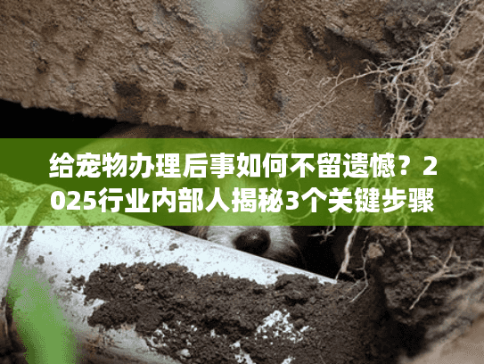 给宠物办理后事如何不留遗憾?2025行业内部人揭秘3个关键步骤+真实案例 给宠物办理后事如何不留遗憾?2025行业内部人揭秘3个关键步骤+真实案例