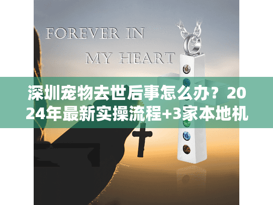 深圳宠物去世后事怎么办？2024年最新实操流程+3家本地机构真实测评（少踩雷）