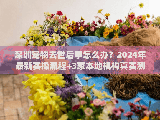 深圳宠物去世后事怎么办？2024年最新实操流程+3家本地机构真实测评（少踩雷）