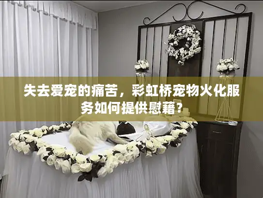 失去爱宠的痛苦，彩虹桥宠物火化服务如何提供慰藉？