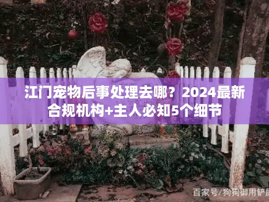 江门宠物后事处理去哪?2024最新合规机构+主人必知5个细节 江门宠物后事处理去哪?2024最新合规机构+主人必知5个细节