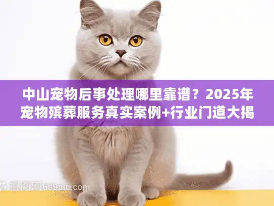 中山宠物后事处理哪里靠谱？2025年宠物殡葬服务真实案例+行业门道大揭秘