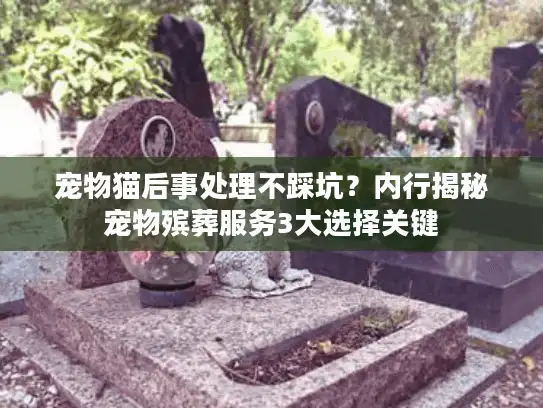 宠物猫后事处理不踩坑？内行揭秘宠物殡葬服务3大选择关键