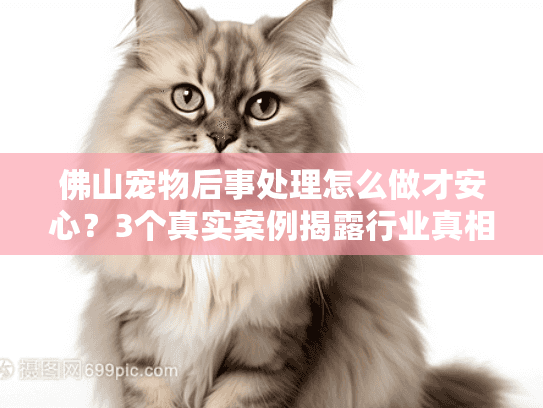 佛山宠物后事处理怎么做才安心？3个真实案例揭露行业真相